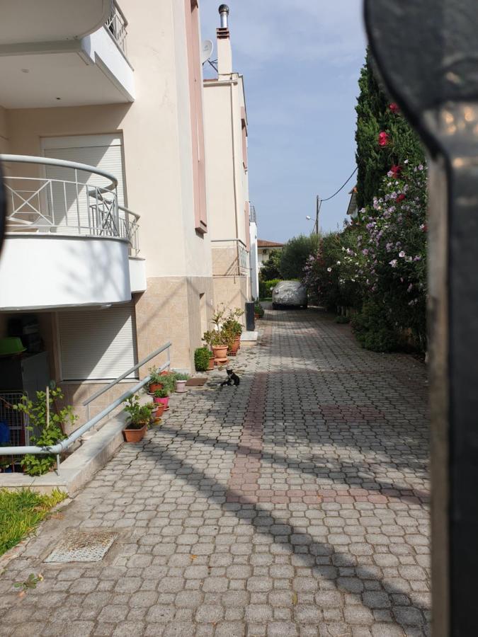 Iliana House * Néoi Epivátai